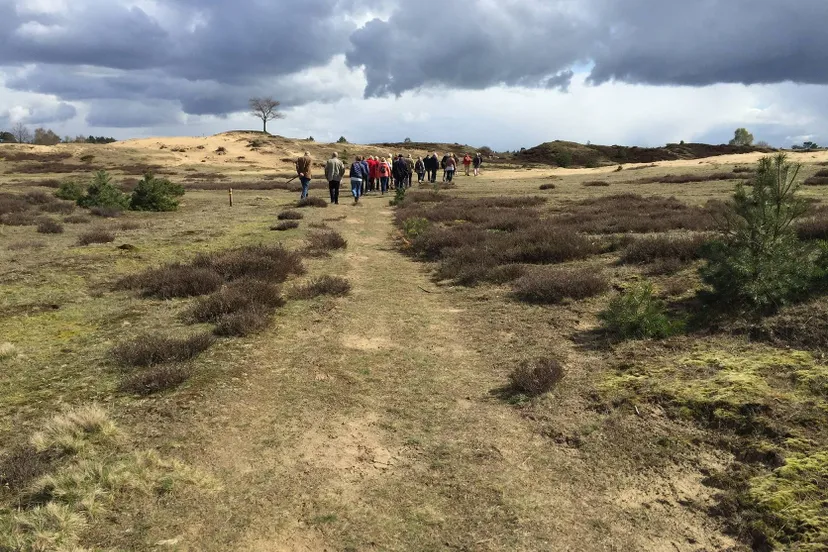 drfrw stiltewandeling