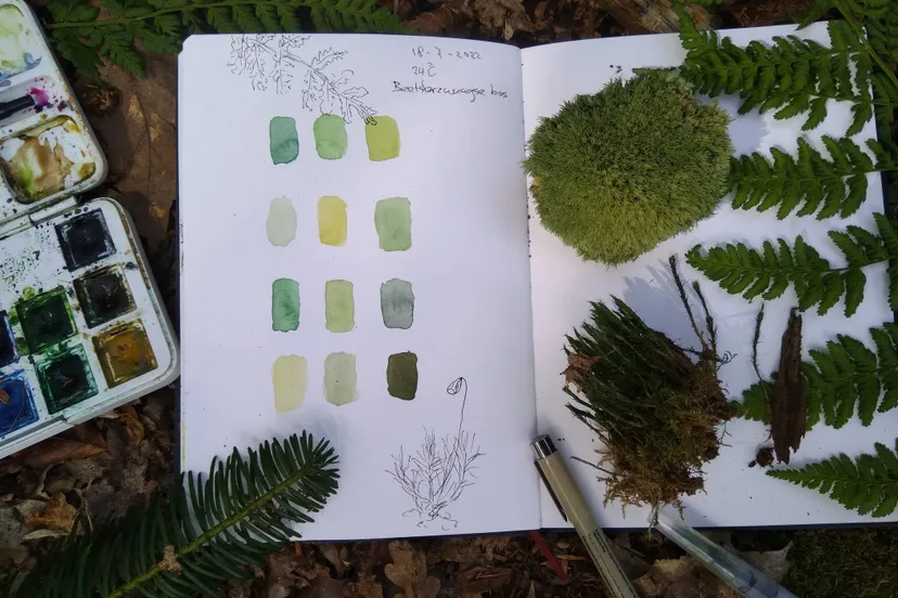 drfrw workshop natuurjournalen kleuren groen