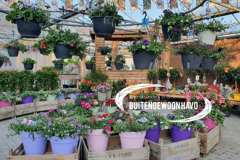 screenshot 20220323 164618 gallery