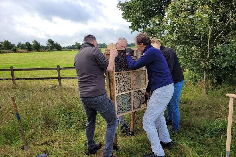 diever ommetjes verfraaid