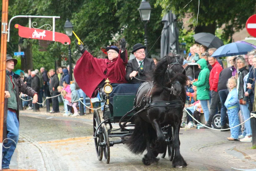 diever ringstekern foto jan veenstra