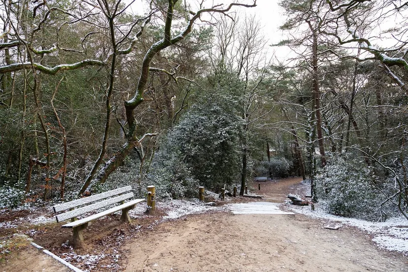 drfrw winterwandeling bosberg laura csonka