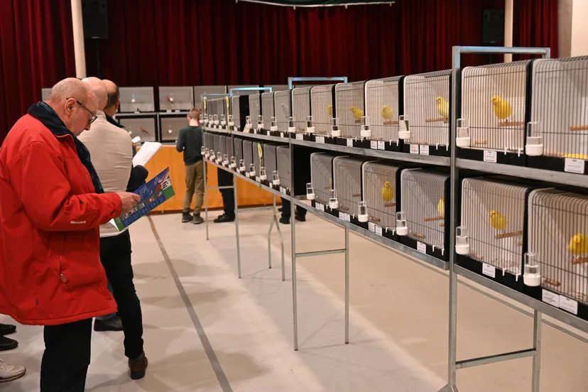 pn14122023 ruinerwold vogelweelde7