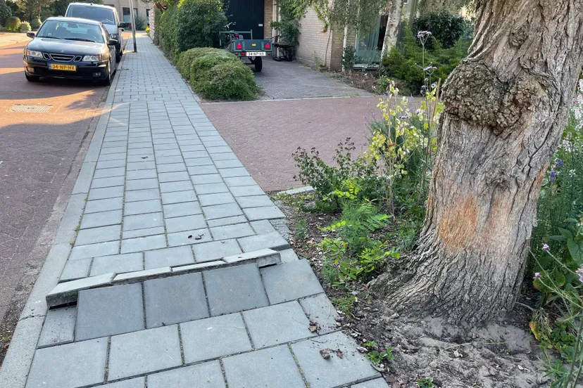 pn26062024 meppel tegels pieter lastmanstraat1