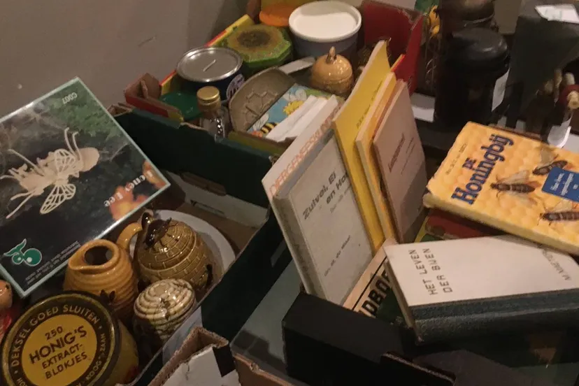 ruinen hijenboelavond