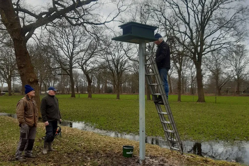 uffelte ansen plaatsen nestkast