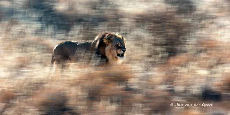 wes jan vand er greef