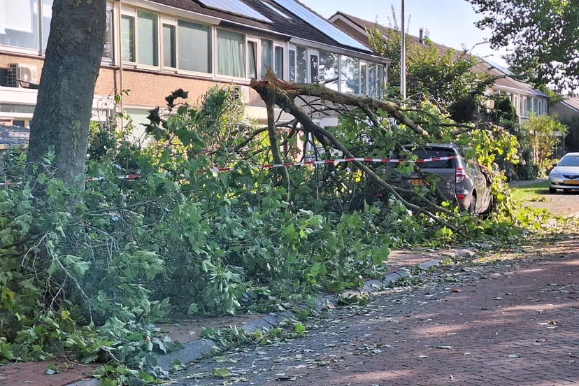 58a0e2fb 9cdc 40c7 8929 63fbb8234e53