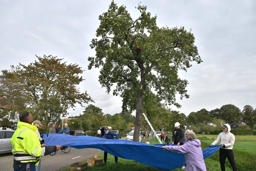 pn07102023 ruinerwold perenpluk2