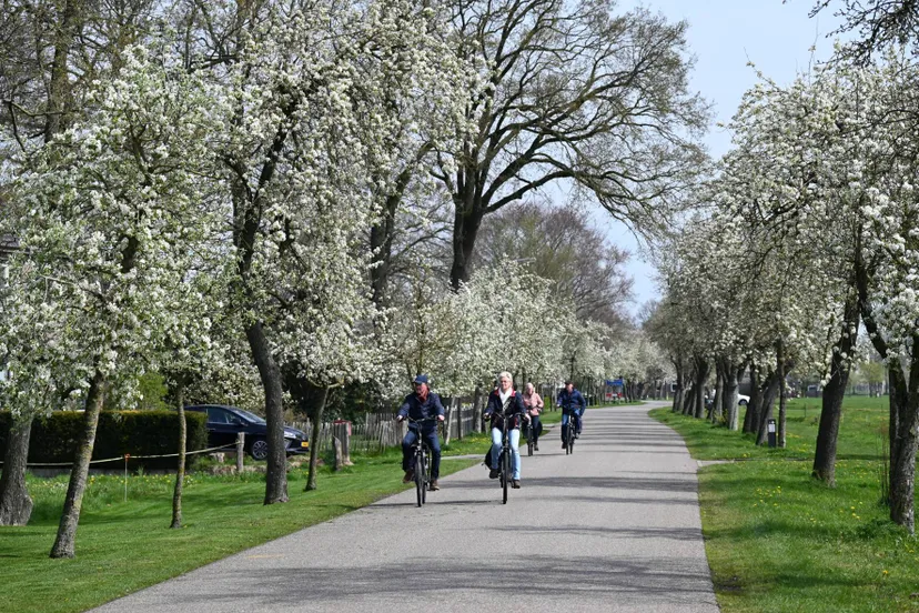 pn22042023 ruinerwold larijweg2