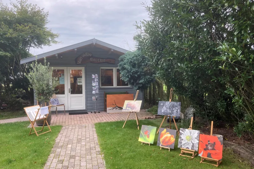 diever kunst galerie vanwenw