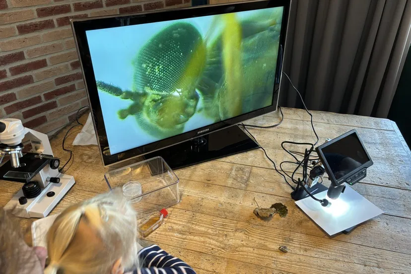 diever micoscopiedag