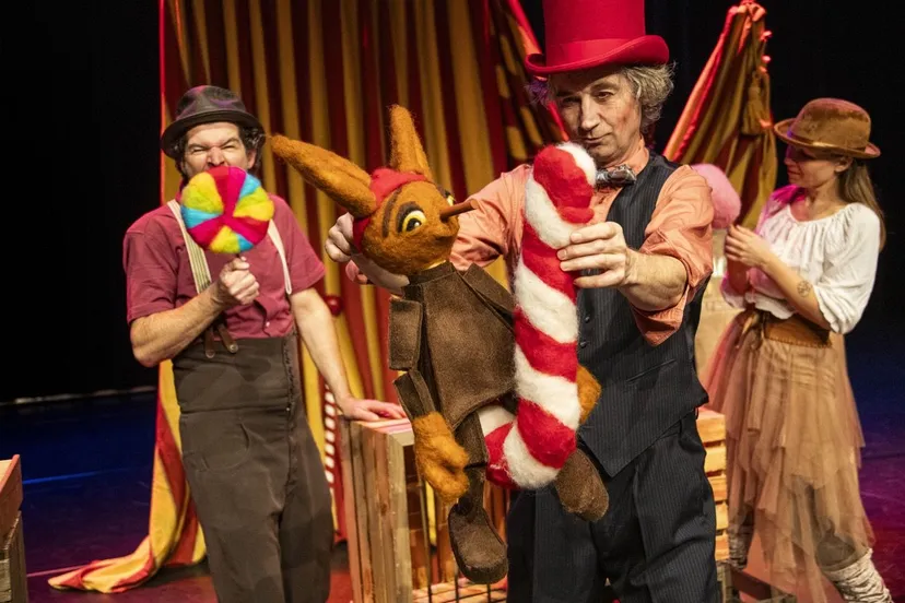 mep de vliegende koffer nipocchio moon saris