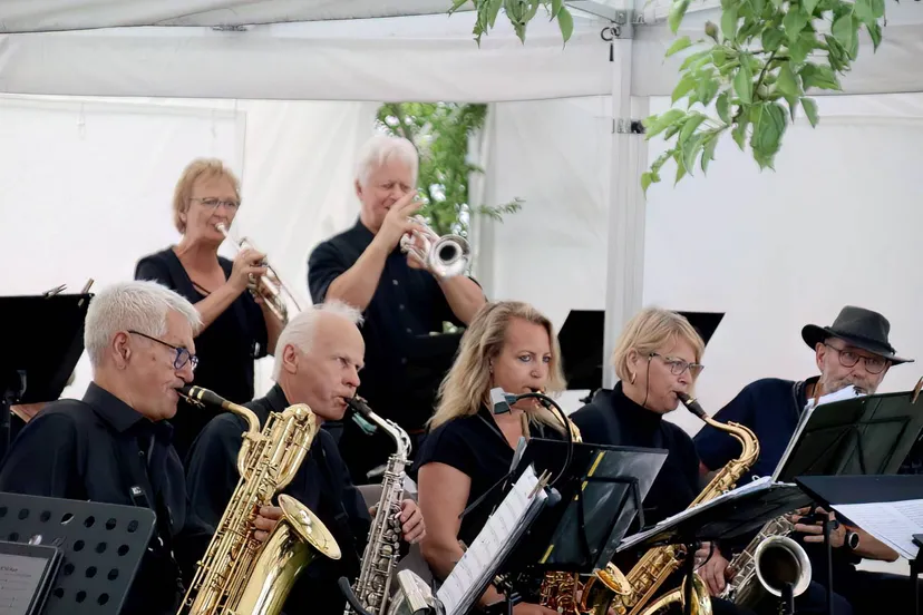 havelte swingband 1 kleur