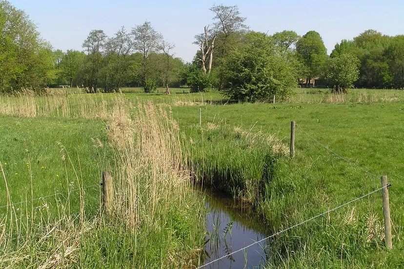 rheebruggen han van hagen