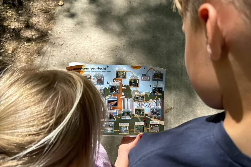 appelscha bosbergtoren app fotograaf jora dekker