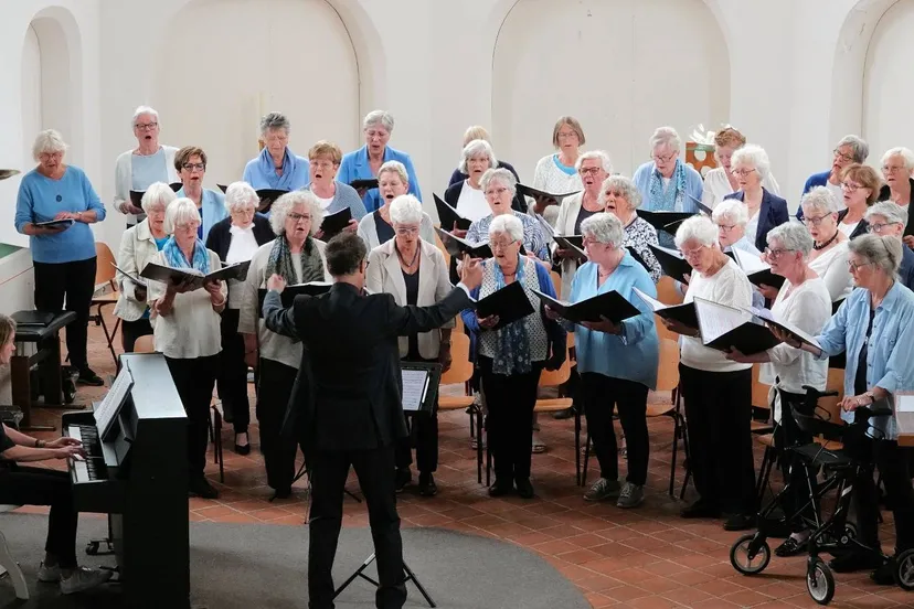 havelte liesterkrallenlichtblauw