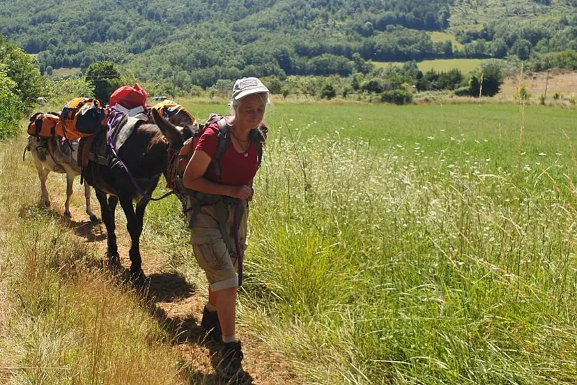 ruinerwold bieb margo