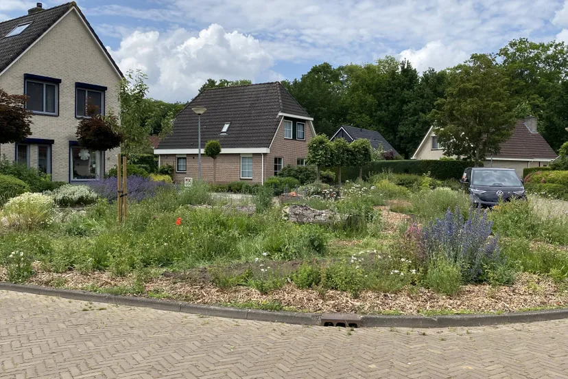 vledder de ecotuin aan t beusje in vledder
