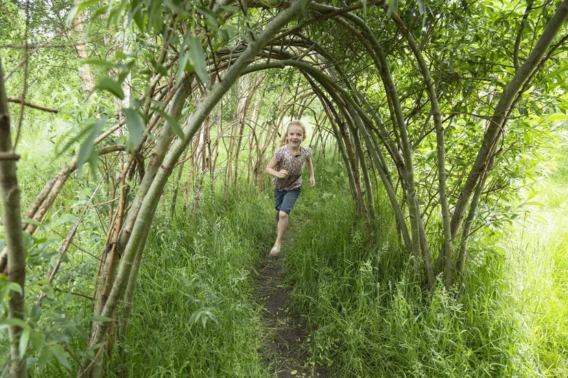 Ruinen BezCentrum Wilgenhuttendorp Andries de la Lande Cremer
