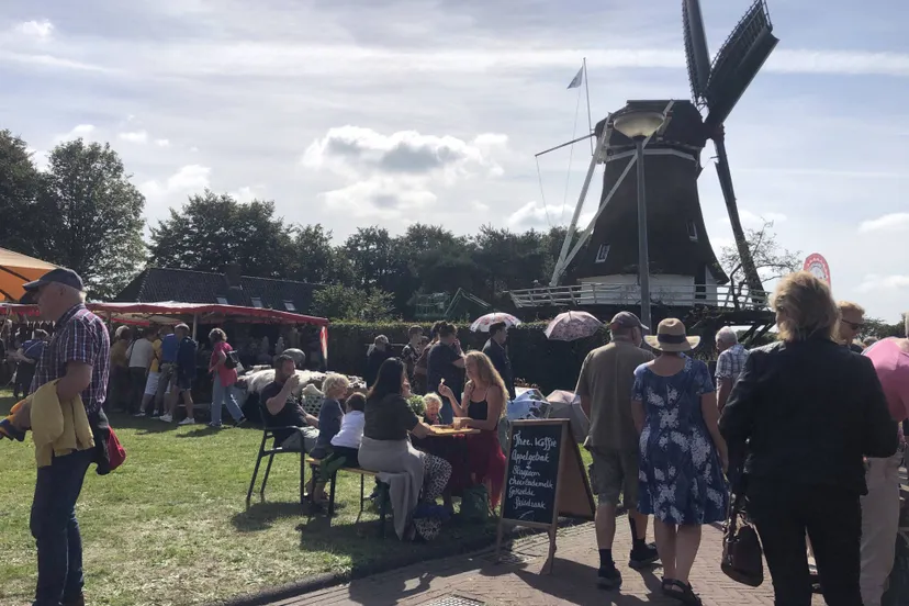 Diever Wollig Landleven