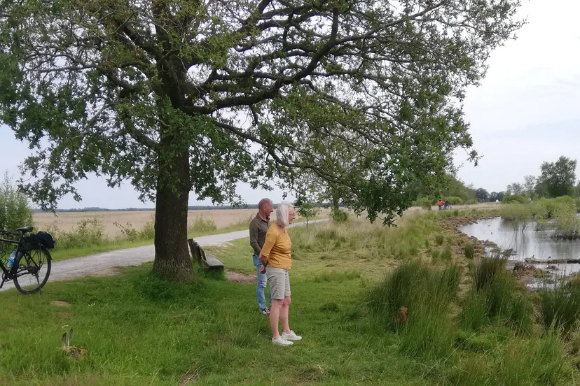 Dwingeloo Fietsvierdaagse