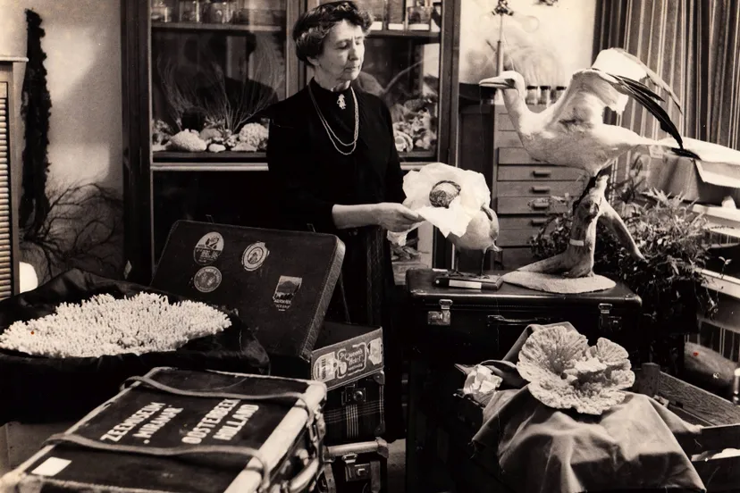 Vledder 22 Warners in Miramar Oosterbeek na haar reis 1963