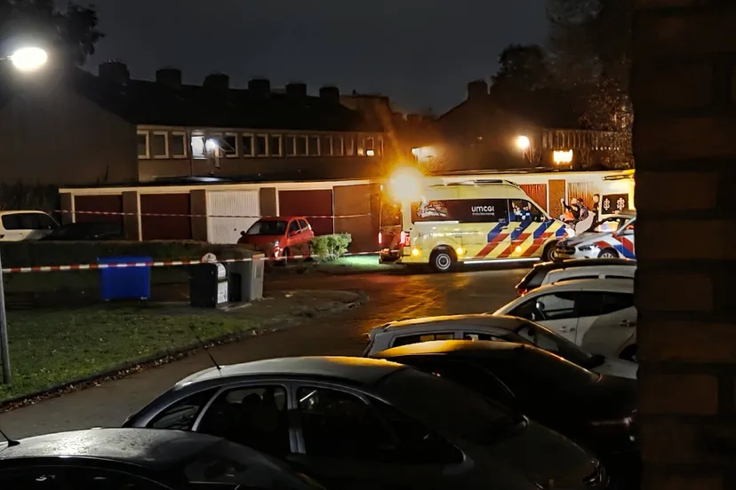 e6522c60-f4da-4e63-8a25-a889228c3f41