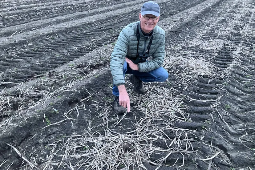 De Wijk Vinder Eerste kievitsei Drenthe