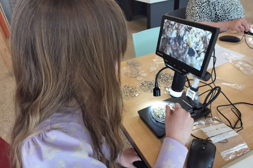 Vledder Miramar Labmiddag_1