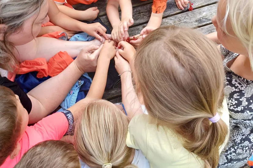 Darp Kinderhandjes Pluimerije Darp