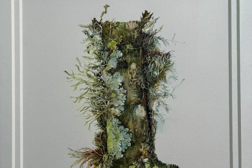 Vledder Kunst in kerk