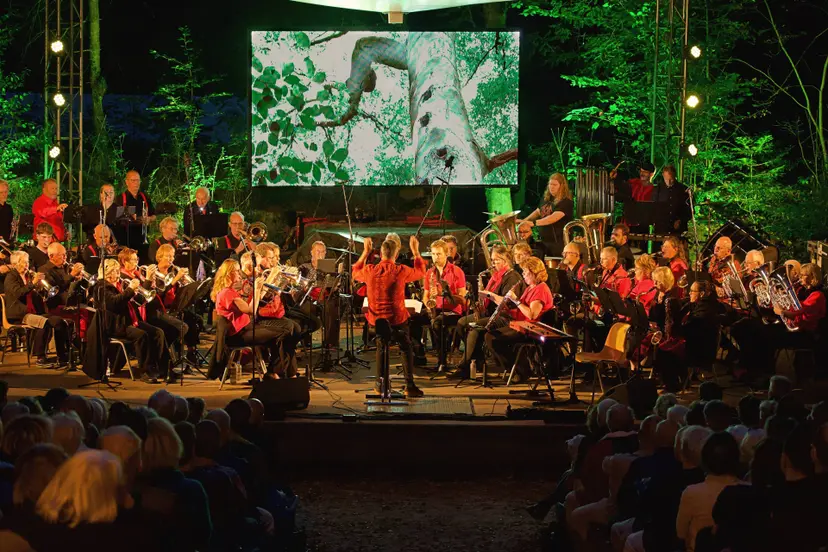 VerWOLDering orkest 3 @Mijn Kijk op Appelscha - Harry Lasker