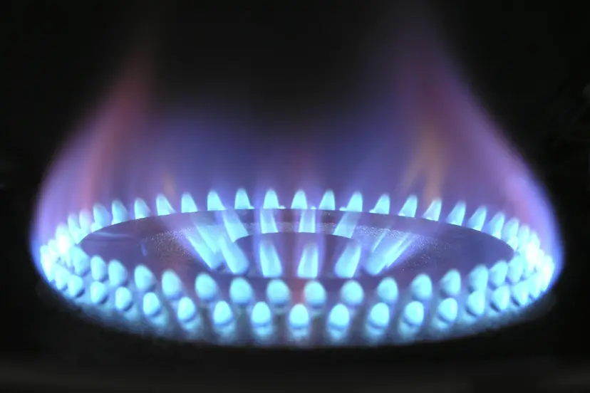 gas magnascan-flame-580342