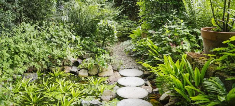 1 de groenling 2 28de80 ac80c0b36e71566e5a1ee1d358210f6f3b6220d4