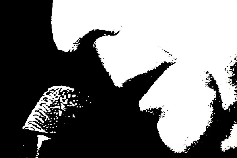 2019 1 18 foto so long cohen corr e1546771697154