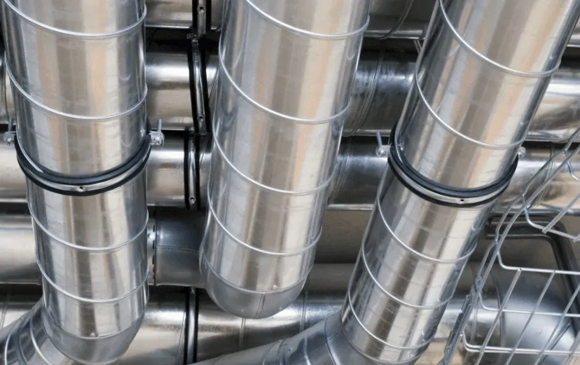 302859653 382769674070768 6383631713215162619 n