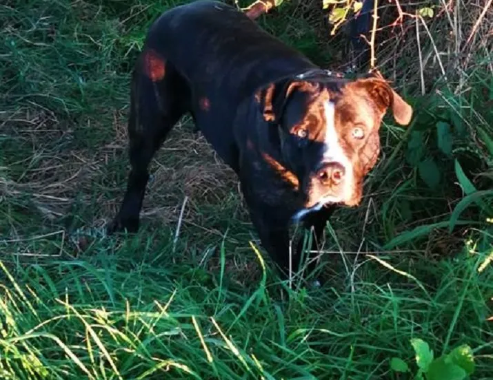 42531624 989802207874594 3570293188021190656 n