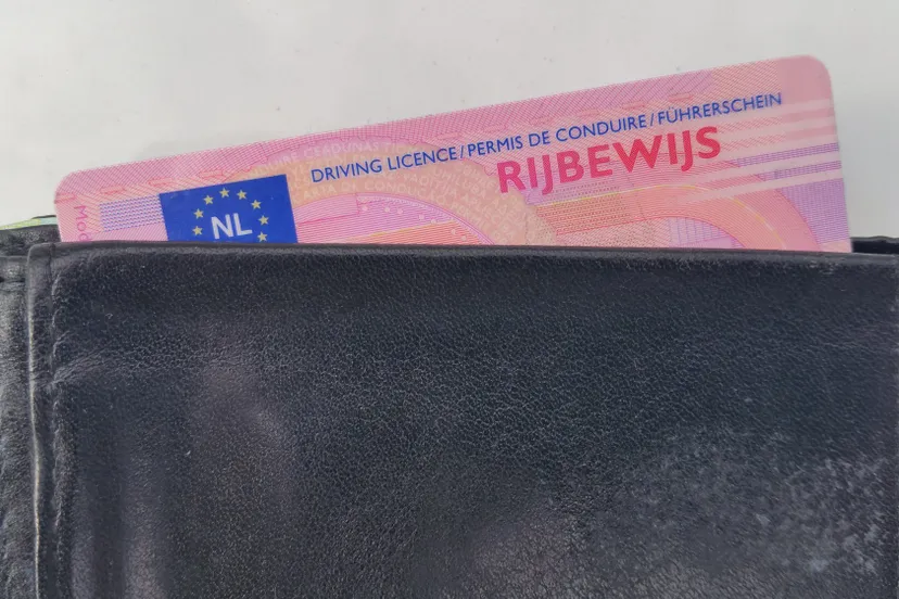 44506942 1008080072713474 5299559742807474176 o