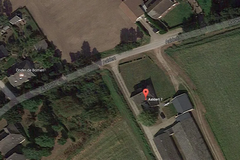 aaldert 7