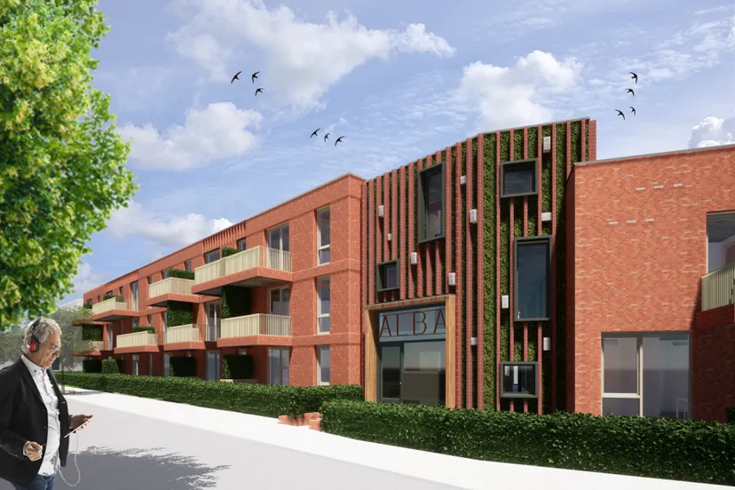 alba ai senior q3xwz0h8i0os0p5yhqdxs7fc1qfjshw61n8d8xtan4