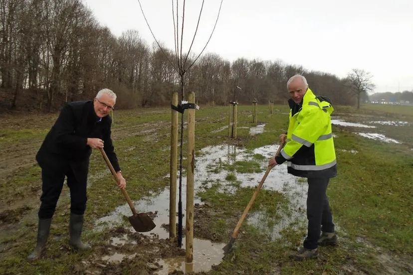berendonck boom planten