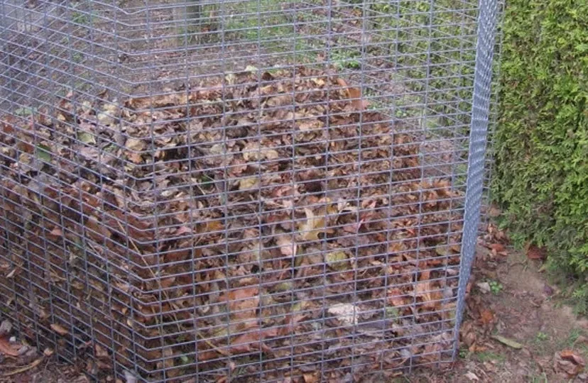 bladkorven wijchen 151018