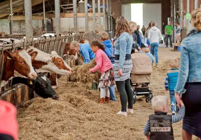 boerderijdagen