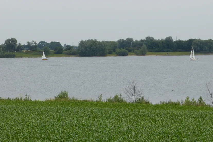 boten hoogeerd niftrik