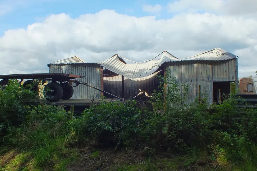 brand niftrik stippent