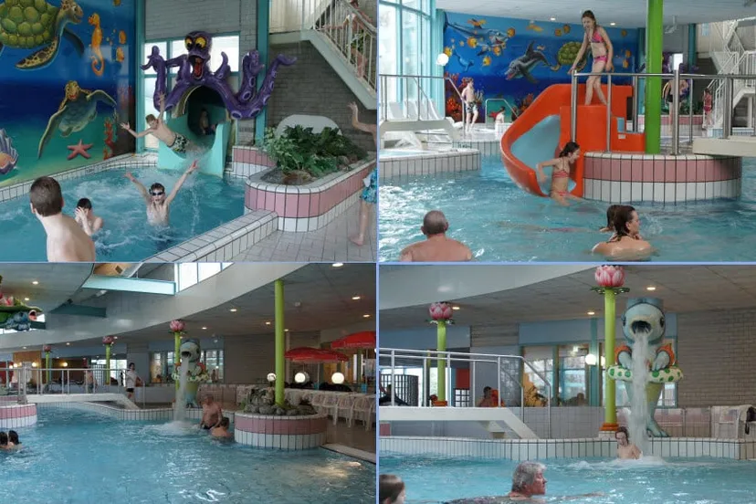 collage foto de meerval