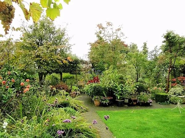 csm anneleen preview 04d0ccbe48