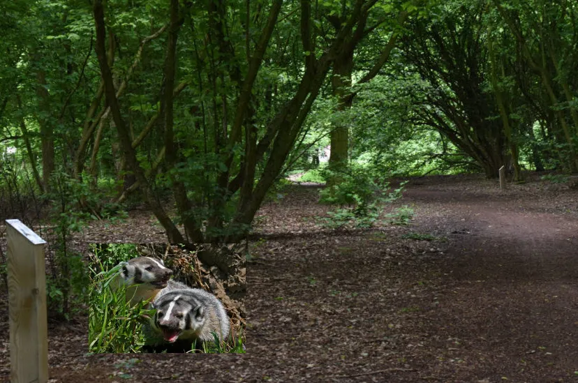 dassen oosterpark 02