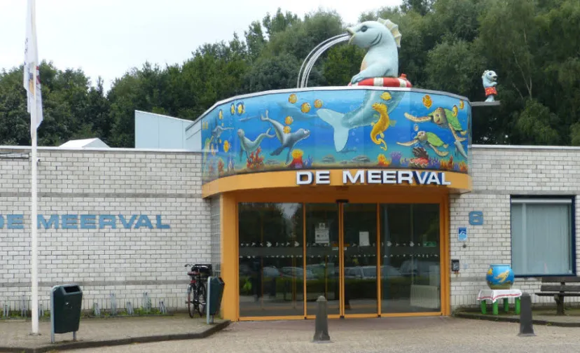 de meerval 131018